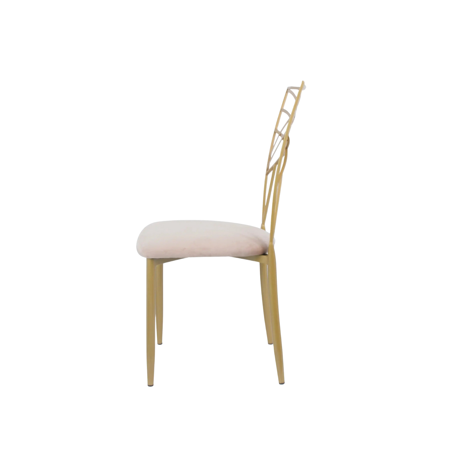 Chameleon Steel Event Chair Gold Ivory